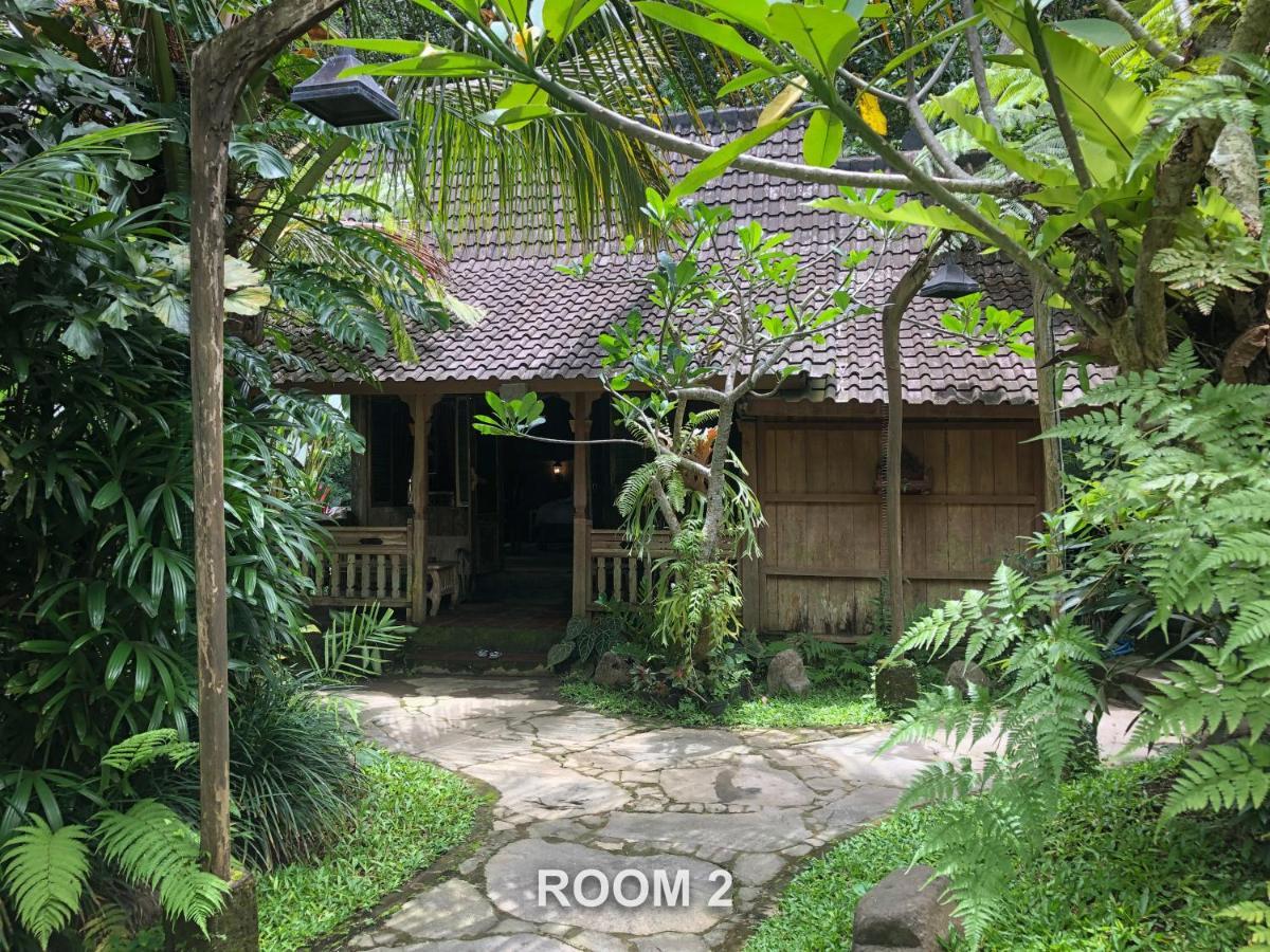 Sweet Orange Pondok Ubud Eksteriør billede